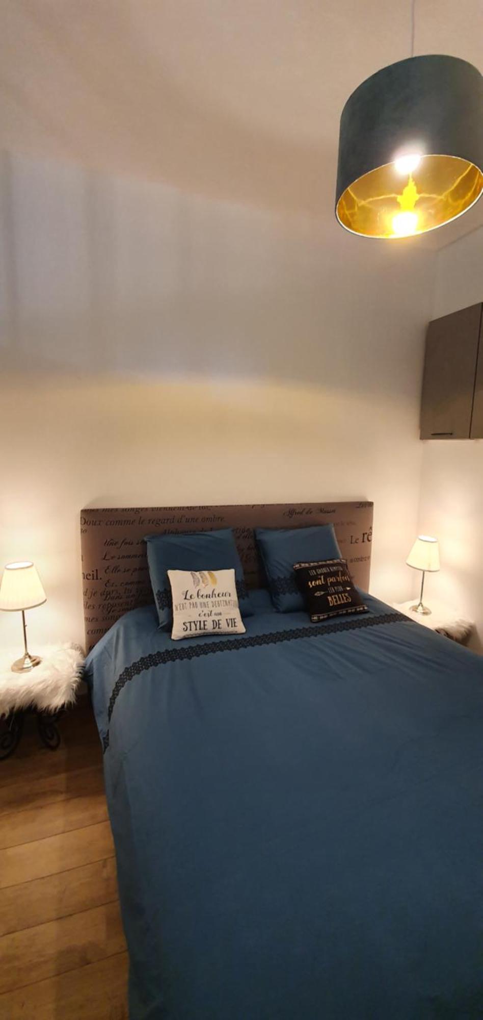 La Folie Hubert Apartment Мьон-сюр-Лоар Стая снимка